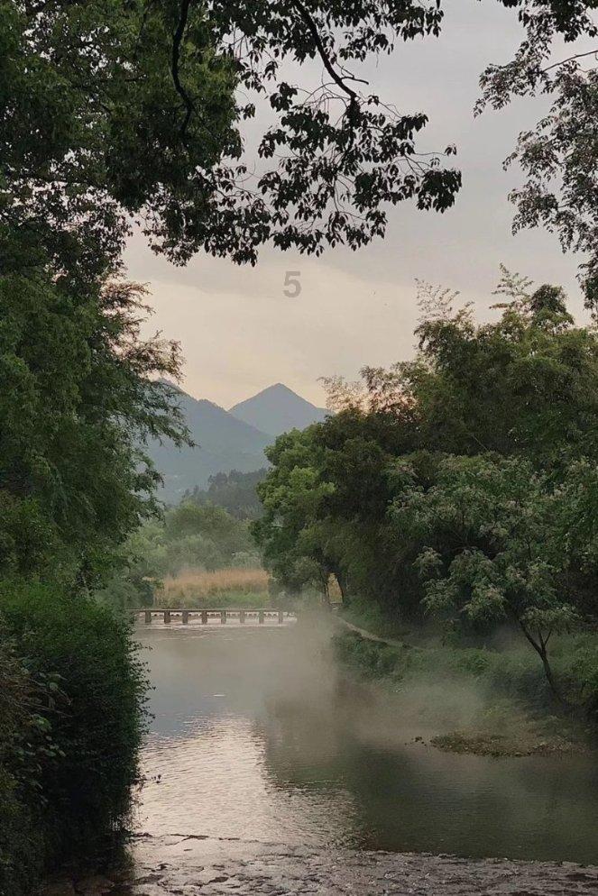 破碎的动物图形2